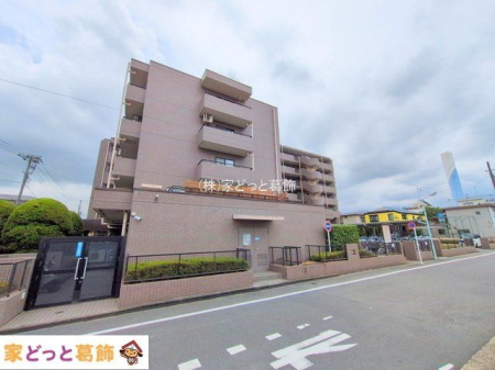 nOώʐ^ Be(2025-06-26 00:00:00)