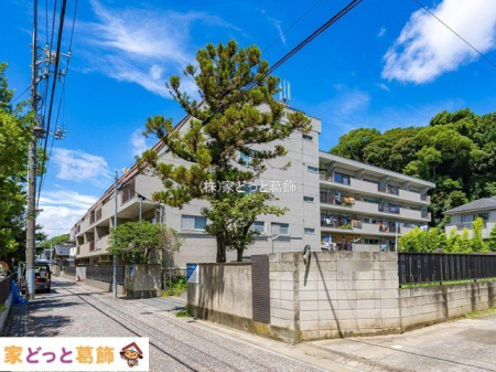 ���n�O�ώʐ^ �B�e��(2022-07-27)