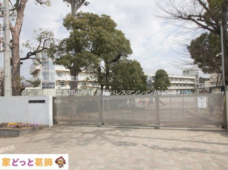 ���ӊ� �s��s���^�ԏ��w�Z �B�e��(2023-03-10) 220m