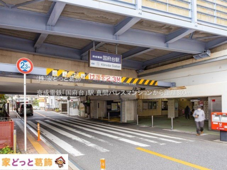 ���ӊ� �����d�S�u���{��v�w �B�e��(2022-04-26) 800m