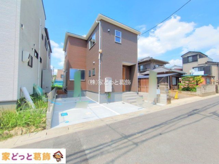 ���n�O�ώʐ^ �B�e��(2025-07-22 00:00:00)