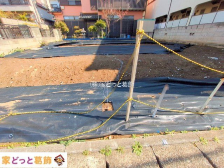 ���n�y�n�ʐ^ �B�e��(2025-03-10 00:00:00)