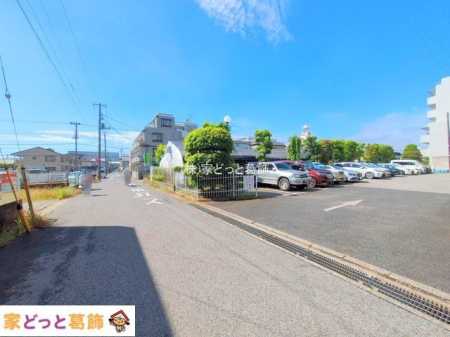 ���n�O�ώʐ^ �B�e��(2025-06-04 00:00:00)