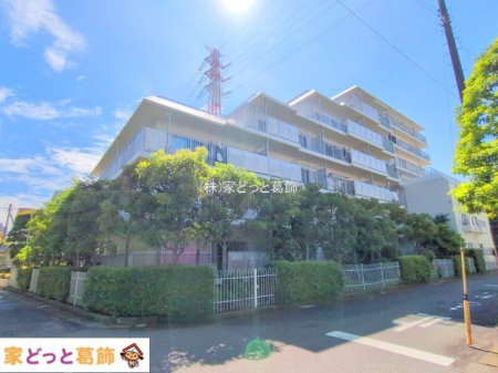 ���n�O�ώʐ^ �B�e��(2025-06-04 00:00:00)