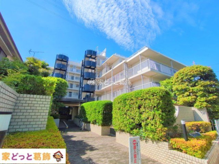 ���n�O�ώʐ^ �B�e��(2025-06-04 00:00:00)