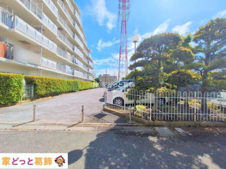 ���n�O�ώʐ^ �B�e��(2025-06-04 00:00:00)