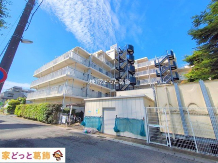 ���n�O�ώʐ^ �B�e��(2025-06-04 00:00:00)