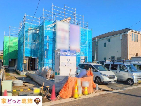 ���n�O�ώʐ^ �B�e��(2025-11-19 00:00:00)