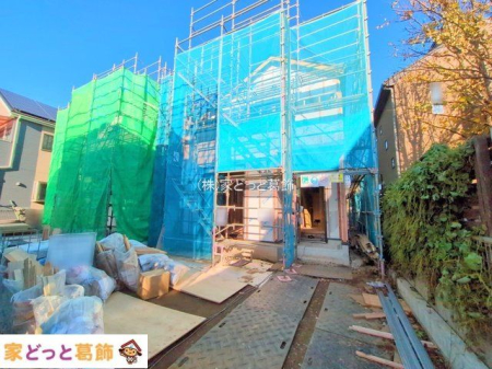 ���n�O�ώʐ^ �B�e��(2025-11-19 00:00:00)