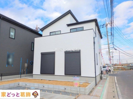 ���n�O�ώʐ^ �B�e��(2025-11-20 00:00:00)