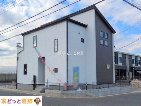 ���n�O�ώʐ^ �B�e��(2025-11-20)