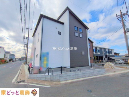 ���n�O�ώʐ^ �B�e��(2025-11-20 00:00:00)