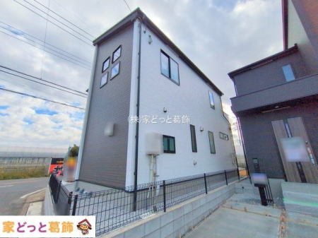 ���n�O�ώʐ^ �B�e��(2025-11-20 00:00:00)