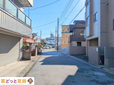 ���n�O�ώʐ^ �B�e��(2025-11-26 00:00:00)