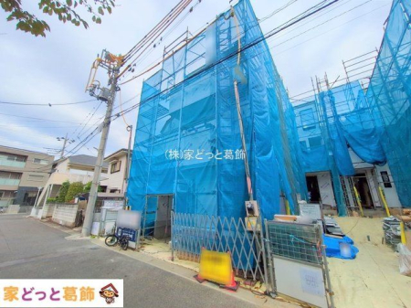 ���n�O�ώʐ^ �B�e��(2025-10-31 00:00:00)