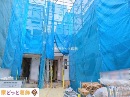 ���n�O�ώʐ^ �B�e��(2025-10-31 00:00:00)