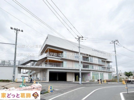 ���ӊ� �]�ː�旧��V�]���w�Z �B�e��(2024-05-09) 500m