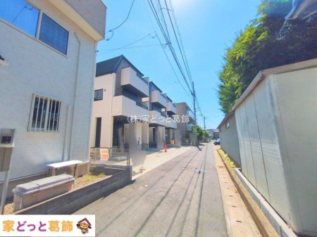 ���n�O�ώʐ^ �B�e��(2025-07-22 00:00:00)