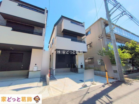 ���n�O�ώʐ^ �B�e��(2025-07-22)