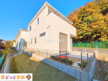 ���n�O�ώʐ^ �B�e��(2025-11-19 00:00:00)