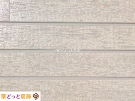 ���n�O�ώʐ^ �B�e��(2025-11-19 00:00:00)