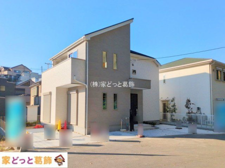 ���n�O�ώʐ^ �B�e��(2025-11-19 00:00:00)