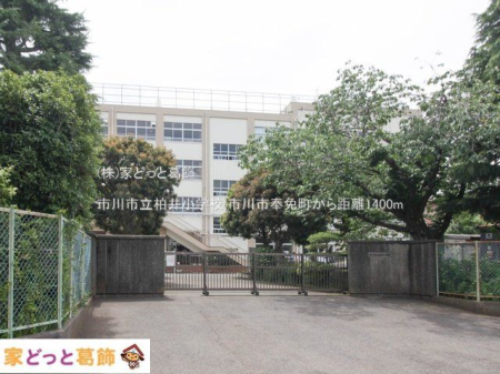 ���ӊ� �s��s�����䏬�w�Z �B�e��(2023-05-25) 1400m