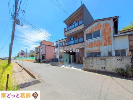 ���n�O�ώʐ^ �B�e��(2025-09-02 00:00:00)