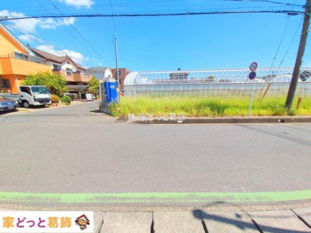 ���n�O�ώʐ^ �B�e��(2025-09-02 00:00:00)