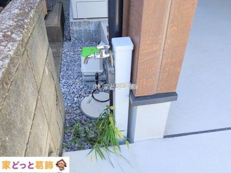 ���n�O�ώʐ^ �B�e��(2025-09-02 00:00:00)