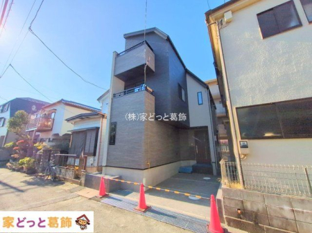 ���n�O�ώʐ^ �B�e��(2025-11-17 00:00:00)