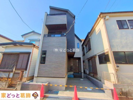 ���n�O�ώʐ^ �B�e��(2025-11-17 00:00:00)