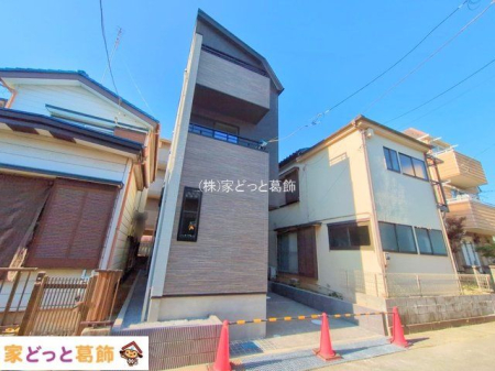 ���n�O�ώʐ^ �B�e��(2025-11-17 00:00:00)