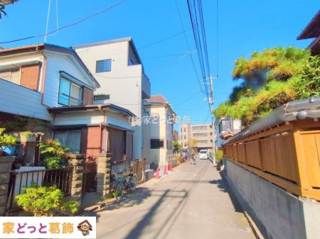 ���n�O�ώʐ^ �B�e��(2025-11-17 00:00:00)