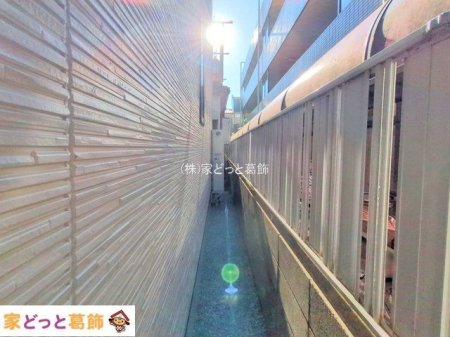 ���n�O�ώʐ^ �B�e��(2025-11-17 00:00:00)