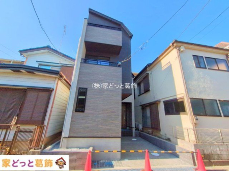 ���n�O�ώʐ^ �B�e��(2025-11-17)