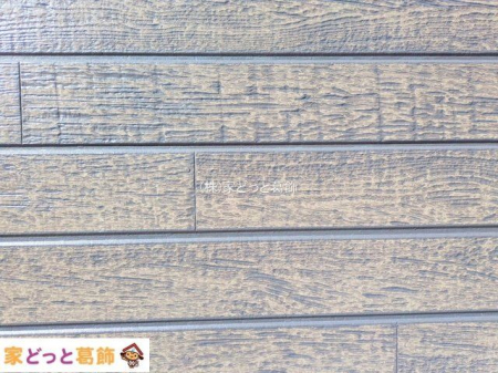 ���n�O�ώʐ^ �B�e��(2025-11-17 00:00:00)