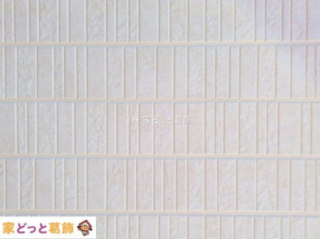 ���n�O�ώʐ^ �B�e��(2025-11-17 00:00:00)