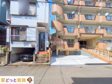 ���n�O�ώʐ^ �B�e��(2025-09-24 00:00:00)