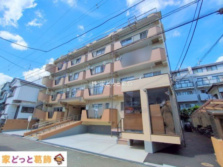 ���n�O�ώʐ^ �B�e��(2025-09-24 00:00:00)