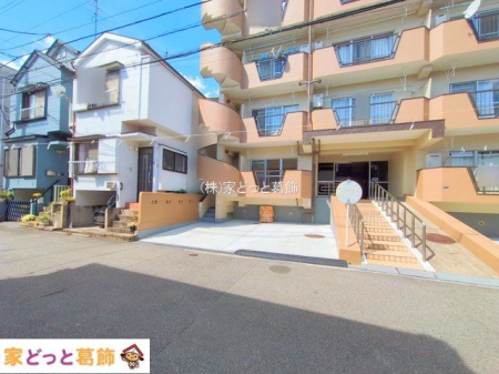 ���n�O�ώʐ^ �B�e��(2025-09-24 00:00:00)