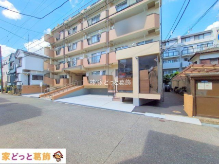 ���n�O�ώʐ^ �B�e��(2025-09-24 00:00:00)