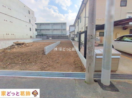 ���n�y�n�ʐ^ �B�e��(2025-12-02)