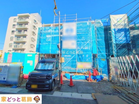 ���n�O�ώʐ^ �B�e��(2025-11-17 00:00:00)