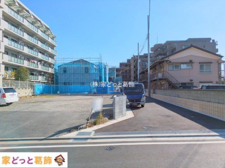 ���n�O�ώʐ^ �B�e��(2025-11-17 00:00:00)