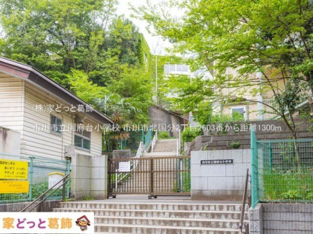 ���ӊ� �s��s�����{�䏬�w�Z �B�e��(2022-04-26) 1300m