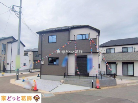 ���n�O�ώʐ^ �B�e��(2025-11-11 00:00:00)