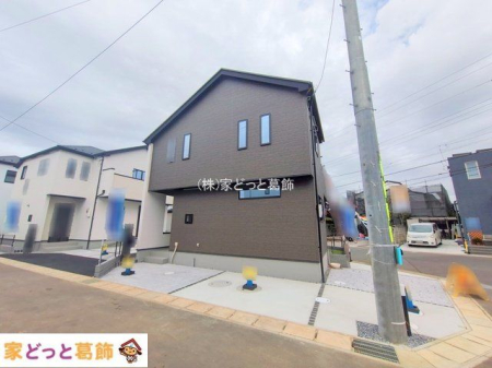 ���n�O�ώʐ^ �B�e��(2025-11-11 00:00:00)