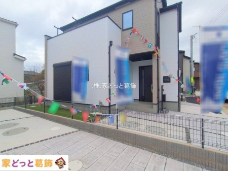 ���n�O�ώʐ^ �B�e��(2025-11-11 00:00:00)