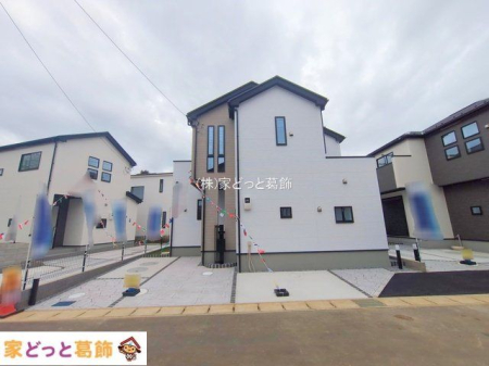 ���n�O�ώʐ^ �B�e��(2025-11-11)